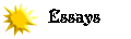 Essays